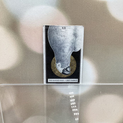 The Avian Tarot Magnets