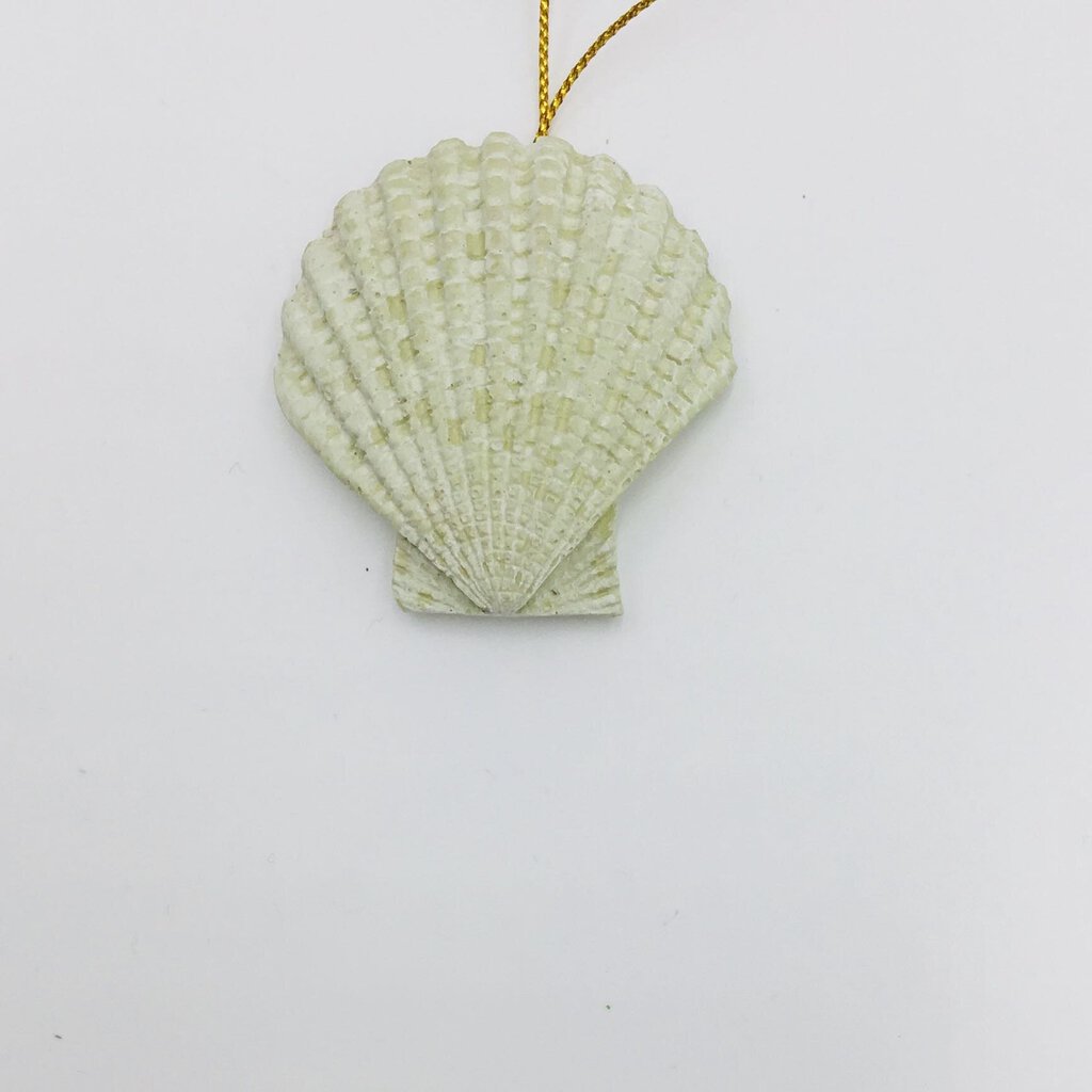 Shell Ornament