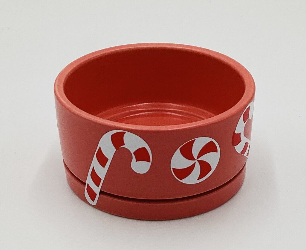 Red Candy Cane Dish