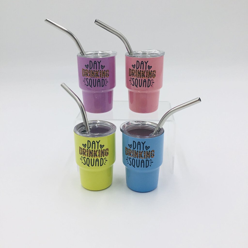 4 pack mini tumblers- day drinking squad