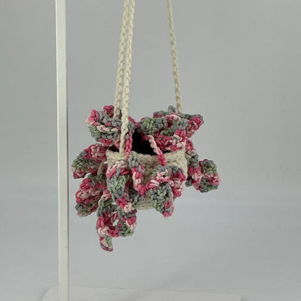 Hanging Monstera - Pink Varigated