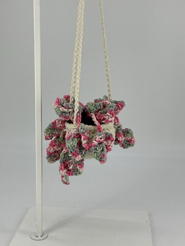 Hanging Monstera - Pink Varigated