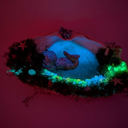 Shell Bed - view 2