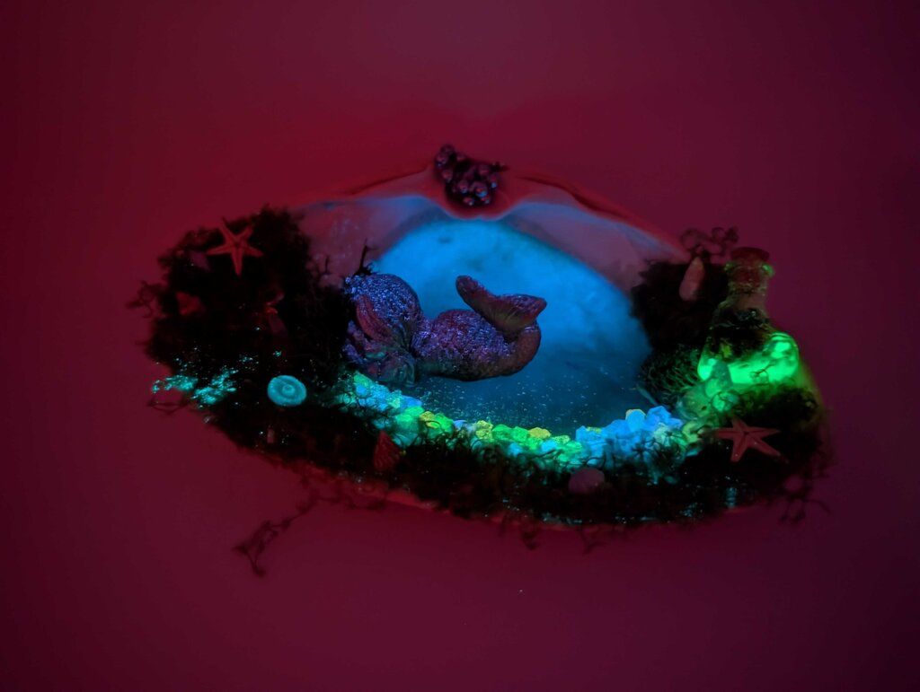 Shell Bed