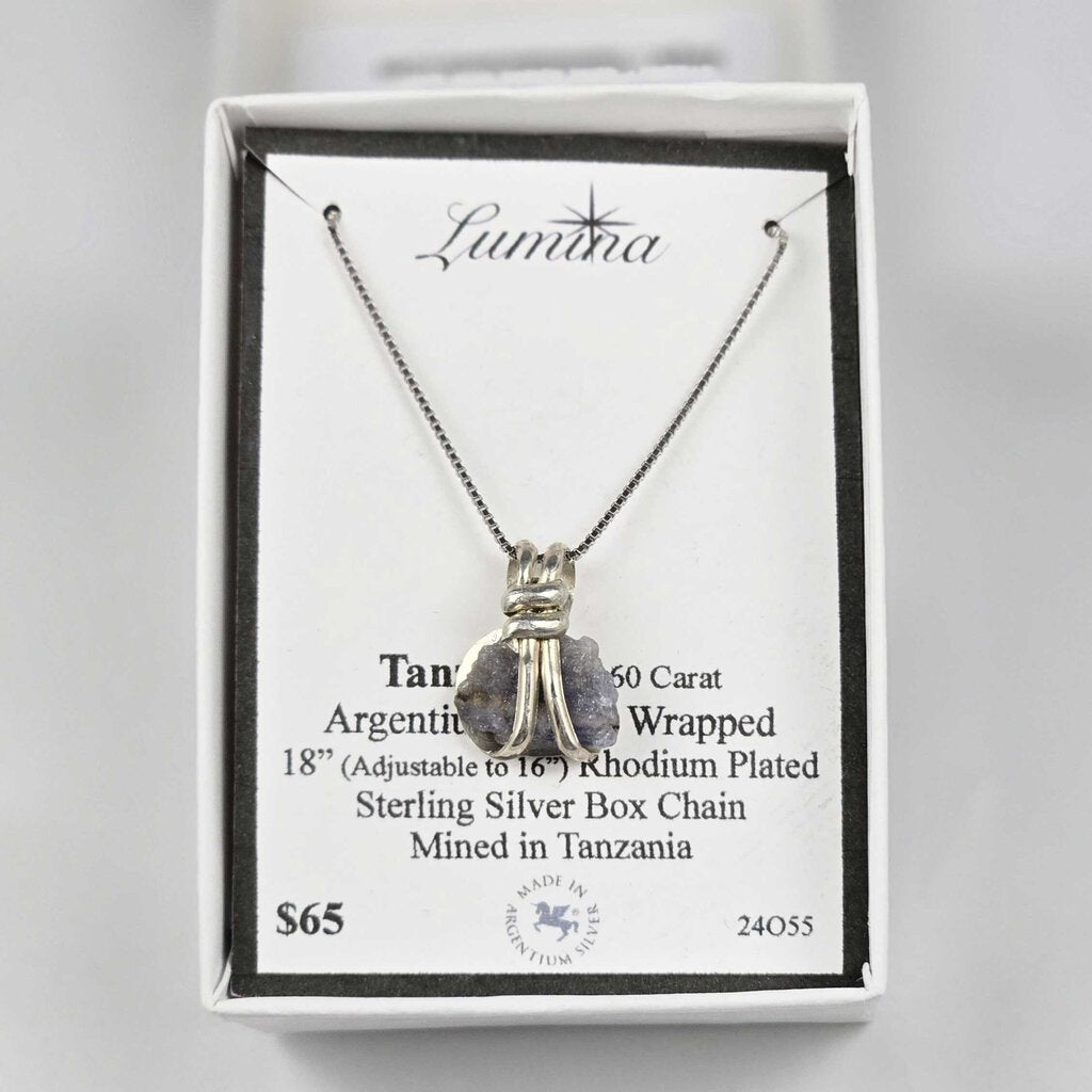 24O55 - Tanzanite 3.60 Carat Argentium Silver Wrapped 18" (adjust able to 16") RPSS