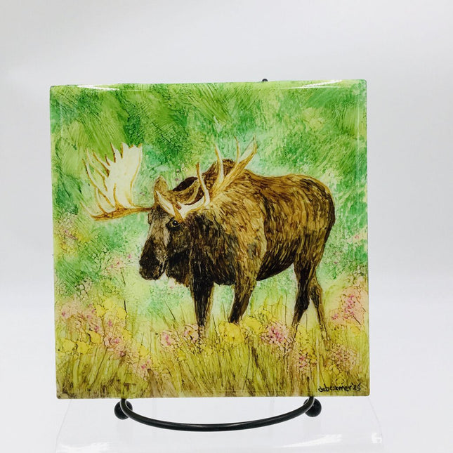6x6 Moose/Springtime