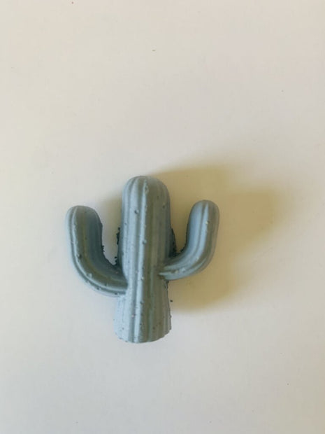 Small Cactus Magnet