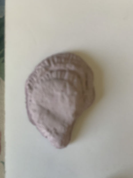 Oyster Magnet