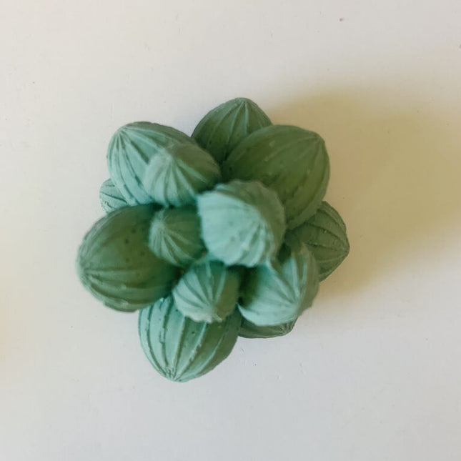 Succulent Magnet