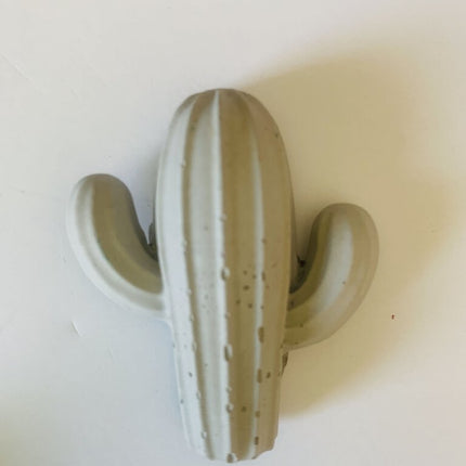 Large Cactus Magnet