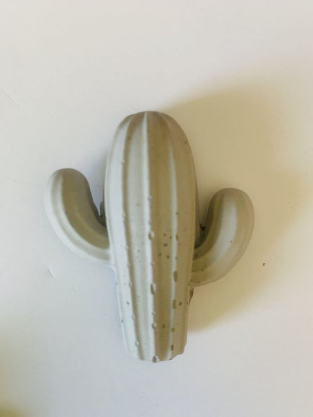 Large Cactus Magnet