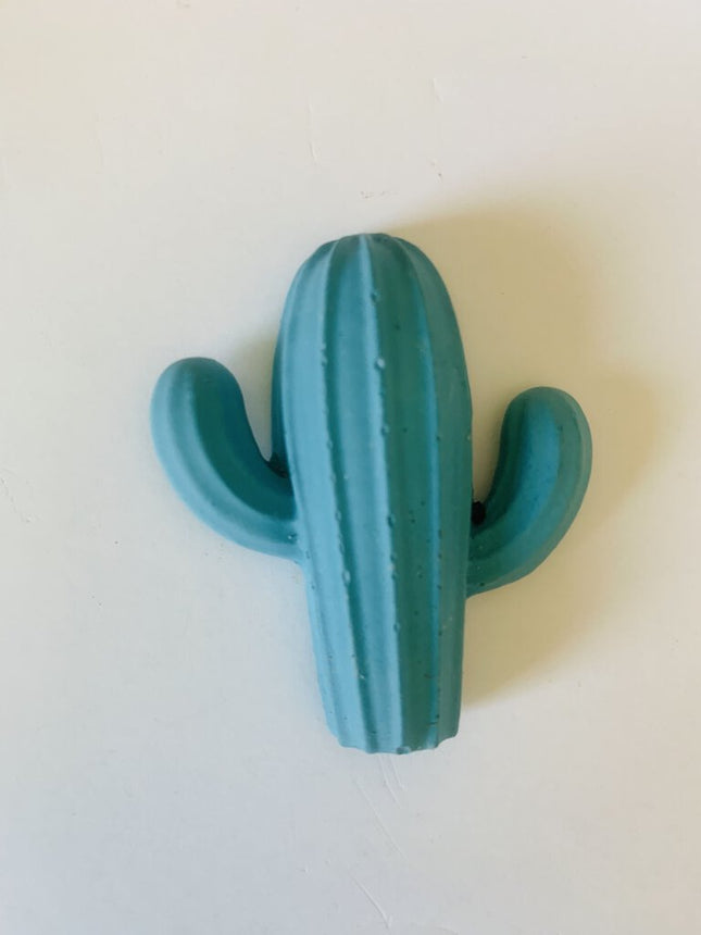 Large Cactus Magnet