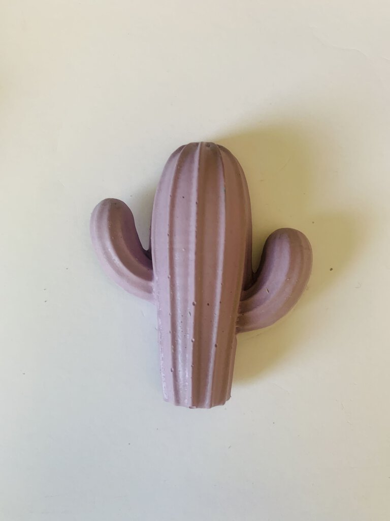 Large Cactus Magnet