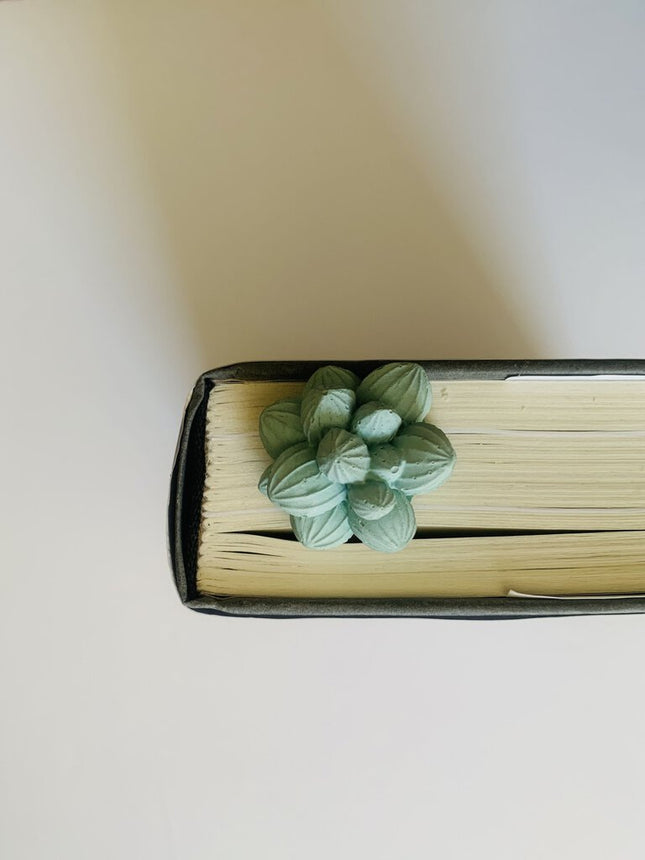 Succulent Bookmark