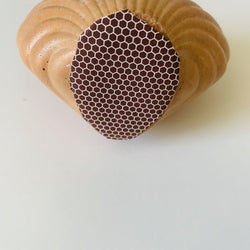 Shell Match Holder - view 3