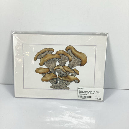4x6 Print Matted to 5x7 Oyster Mushrooms