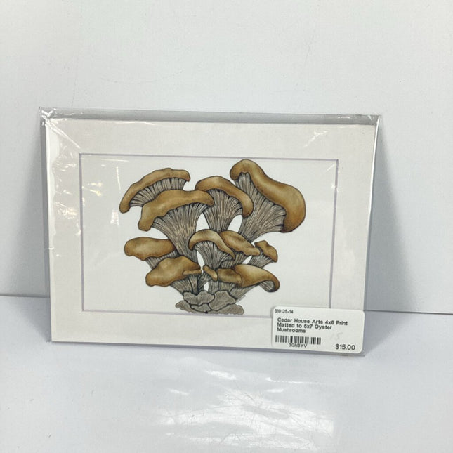 4x6 Print Matted to 5x7 Oyster Mushrooms