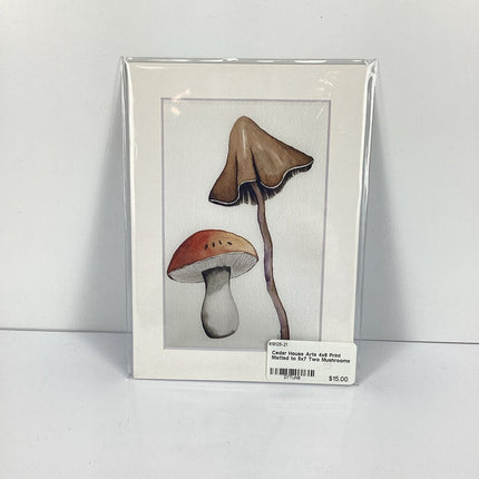 4x6 Print Matted to 5x7 Two Mushrooms