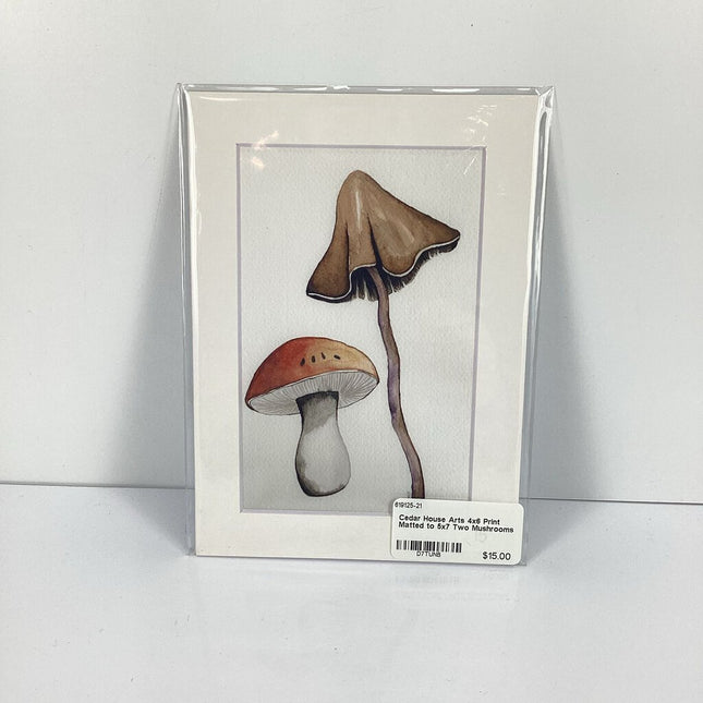 4x6 Print Matted to 5x7 Two Mushrooms