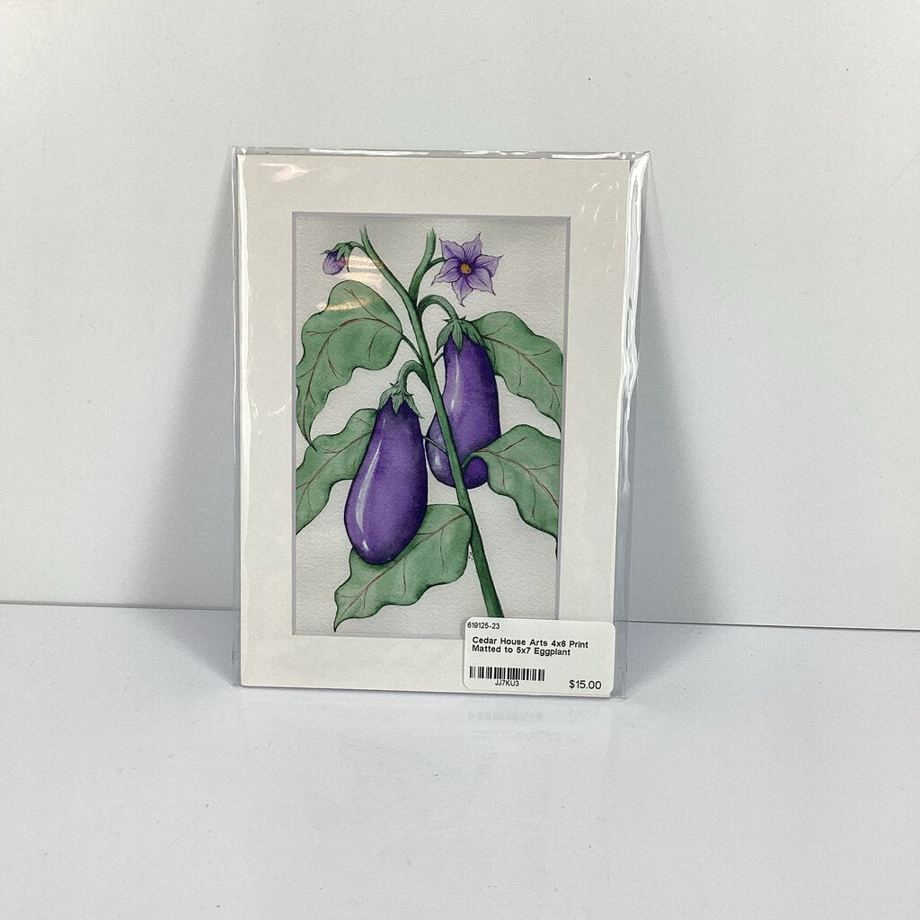 4x6 Print Matted to 5x7 Eggplant