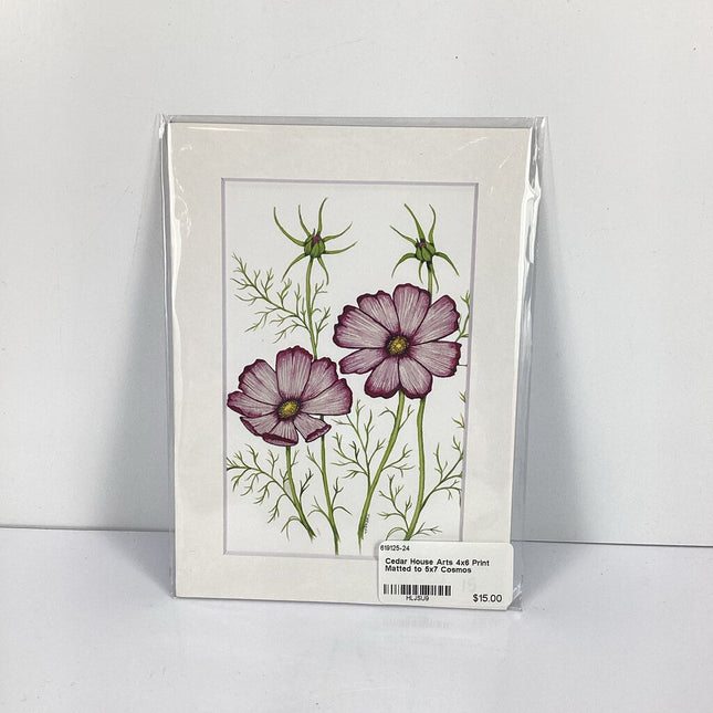 4x6 Print Matted to 5x7 Cosmos