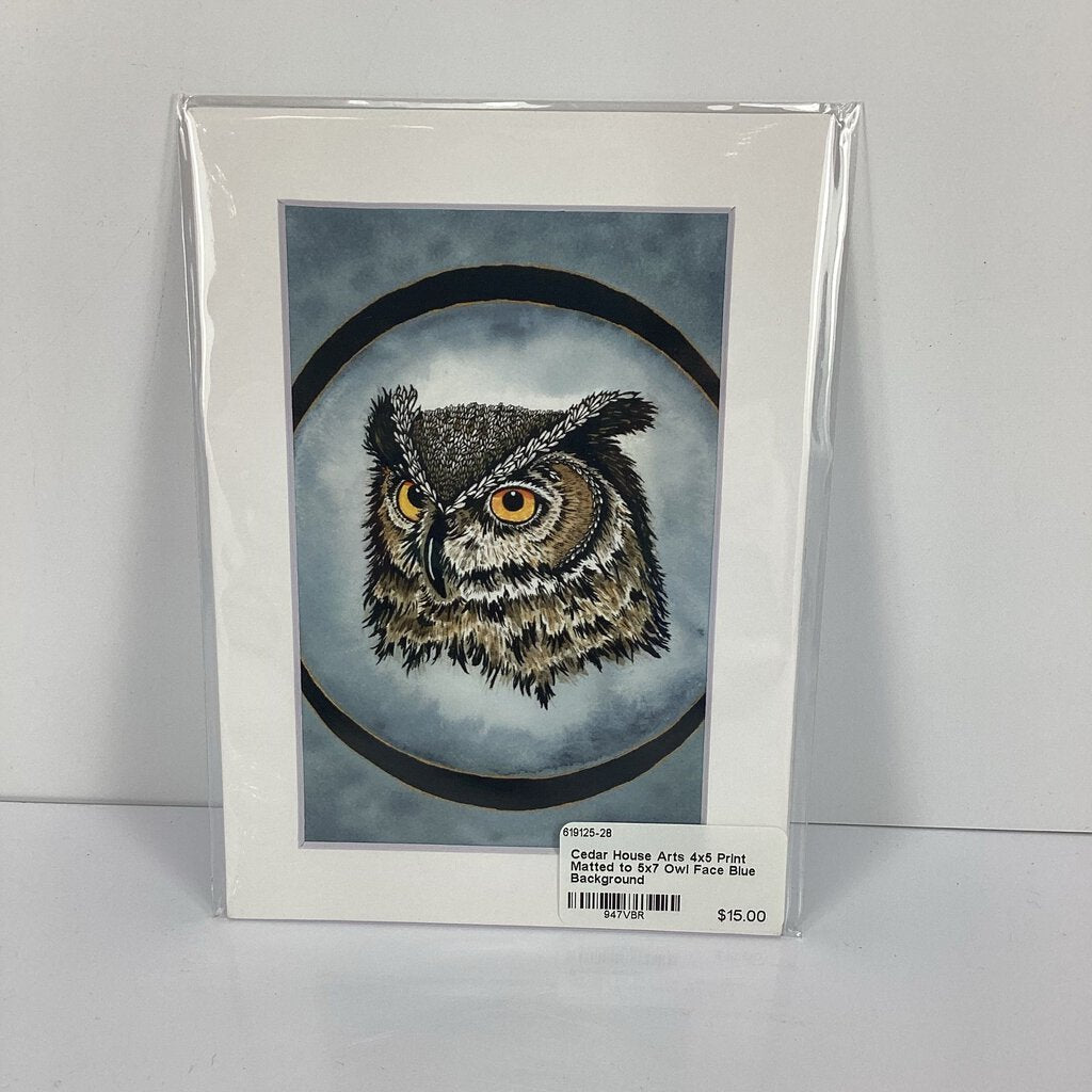 4x5 Print Matted to 5x7 Owl Face Blue Background