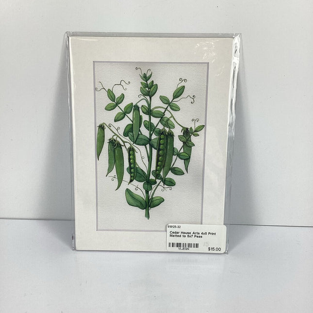 4x5 Print Matted to 5x7 Peas