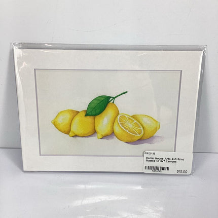 4x5 Print Matted to 5x7 Lemons