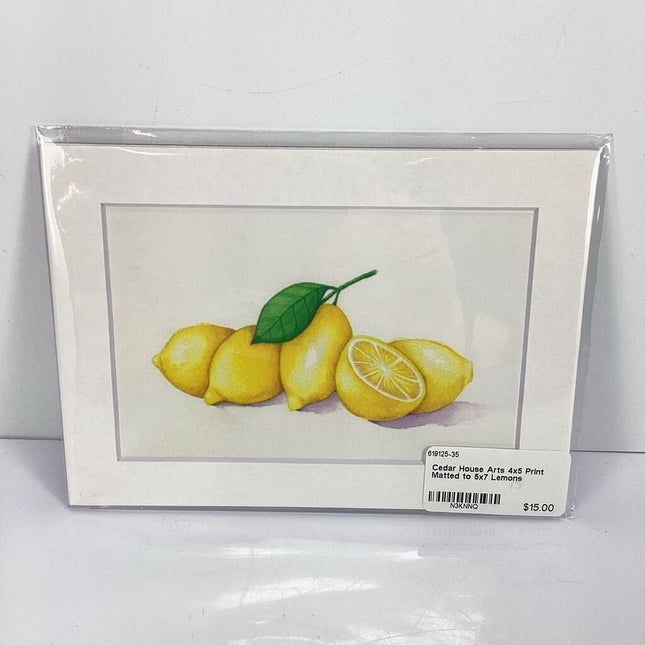 4x5 Print Matted to 5x7 Lemons