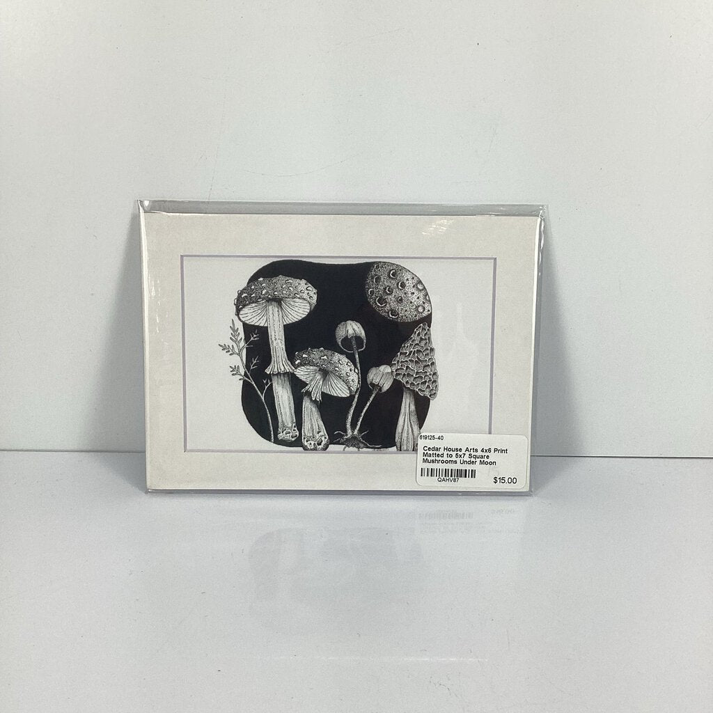 4x6 Print Matted to 5x7 Square Mushrooms Under Moon