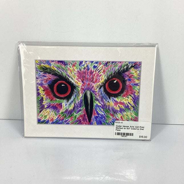 4x6 Print Matted to 5x7 Colorful Owl Face