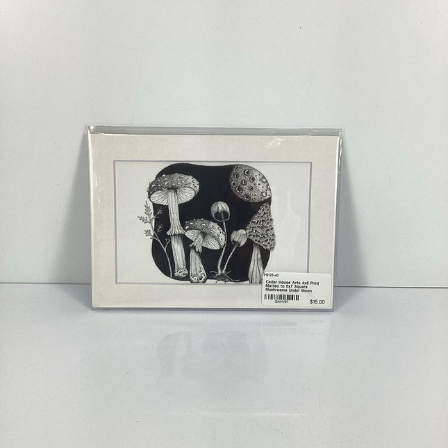 4x6 Print Matted to 5x7 Colorful Owl Face