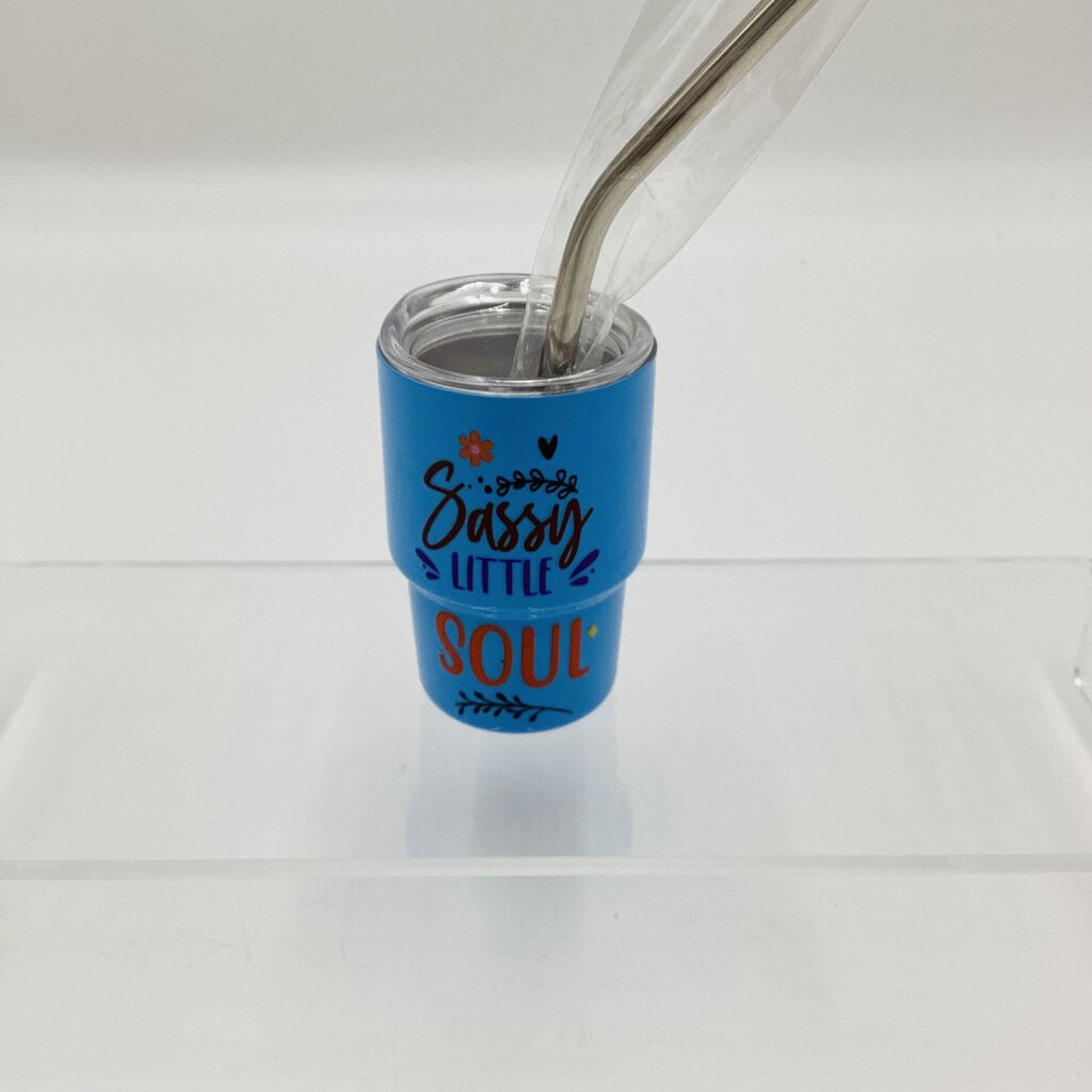 Mini Tumbler- sassy soul