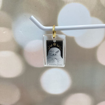 The Avian Tarot Resin Charms