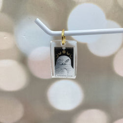 The Avian Tarot Resin Charms - view 21