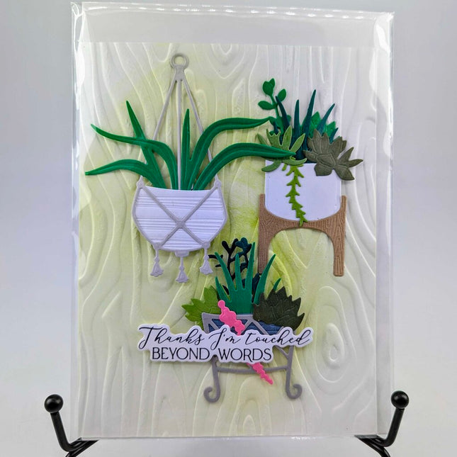 Succulents Thanks Greeting Card