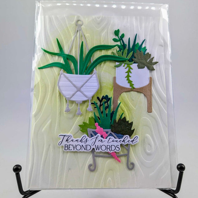 Succulents Thanks Greeting Card
