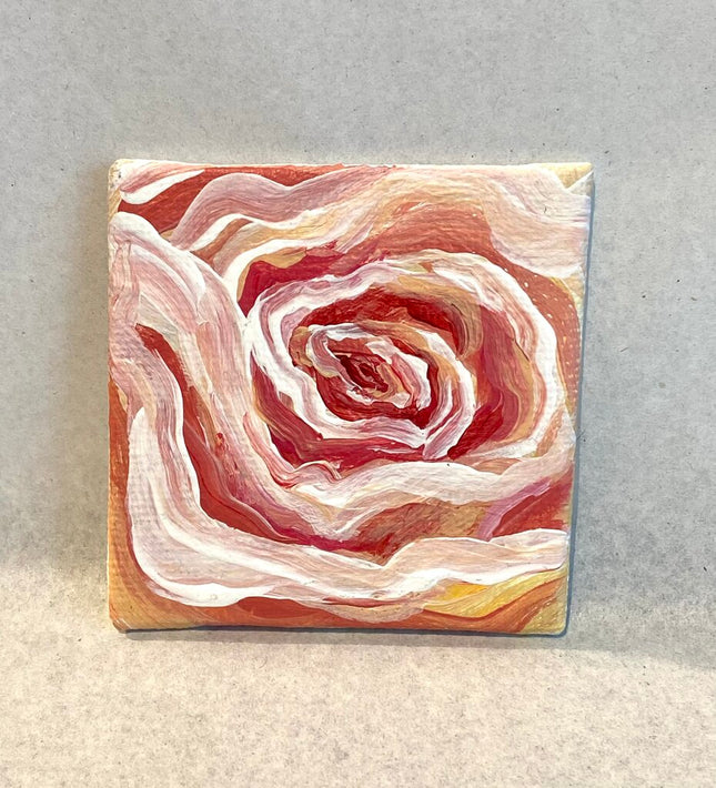 Peach Rose
