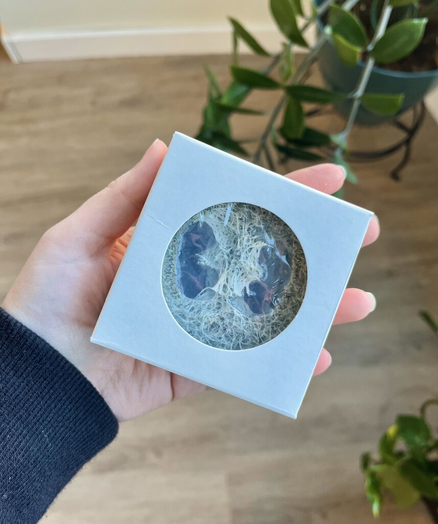 Loofah Soap - Mystical Sea