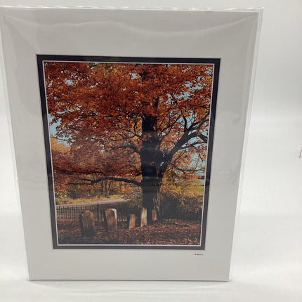8x10 Cemetery in Fall