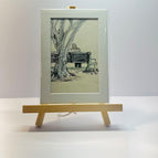 White pictured matte