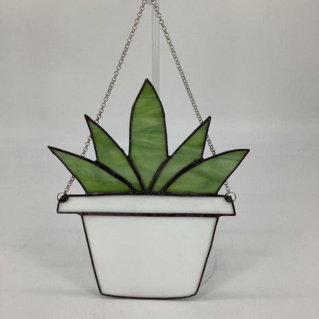Hanging Plant