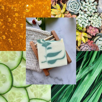 Bar Soap - Succulent
