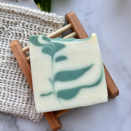 Bar Soap - Succulent