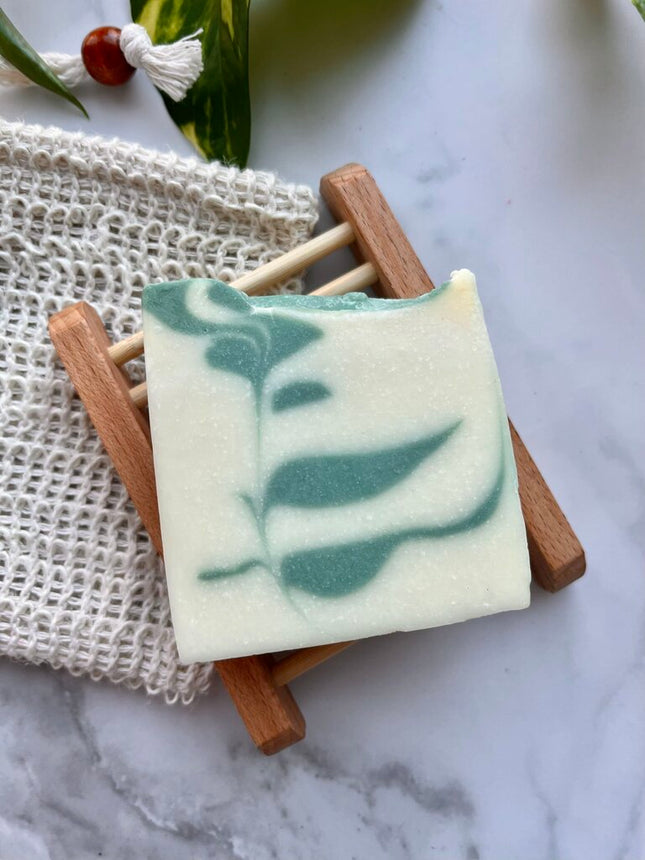 Bar Soap - Succulent