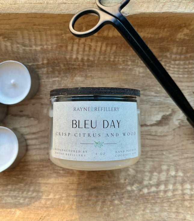 The Birch Vessel - Bleu Day
