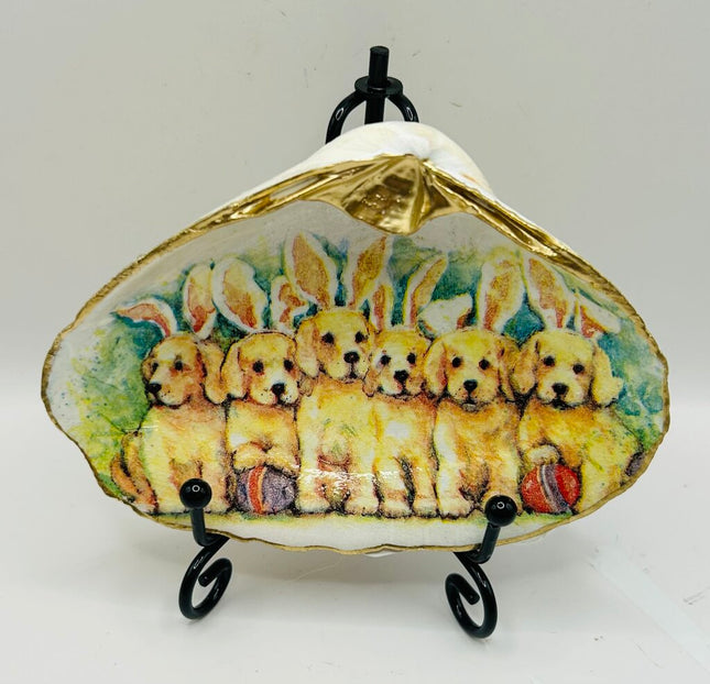 Bunny Pups ( Jenness Beach, Rye, NH)