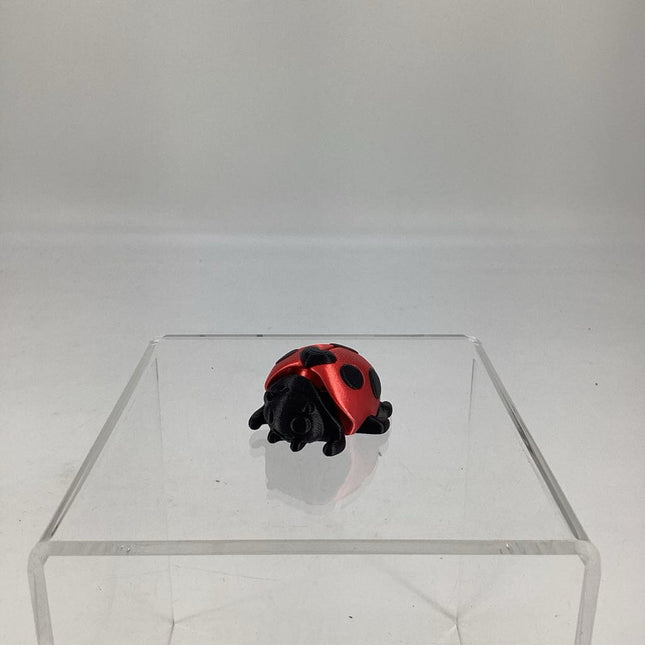 MINI LADYBUG MMU RED/BLACK