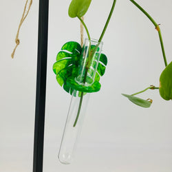 Plant Propagation Station - Acrylic Green Monstera 1 - view 2