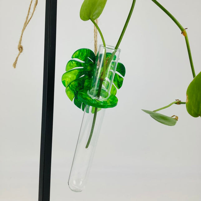 Plant Propagation Station - Acrylic Green Monstera 1